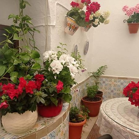 Villanueva de San Juan Casa Tipica De Pueblo Andaluz 빌라 외부 사진