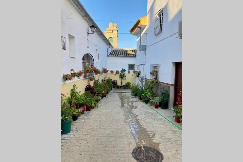 Villanueva de San Juan Casa Tipica De Pueblo Andaluz 빌라 외부 사진