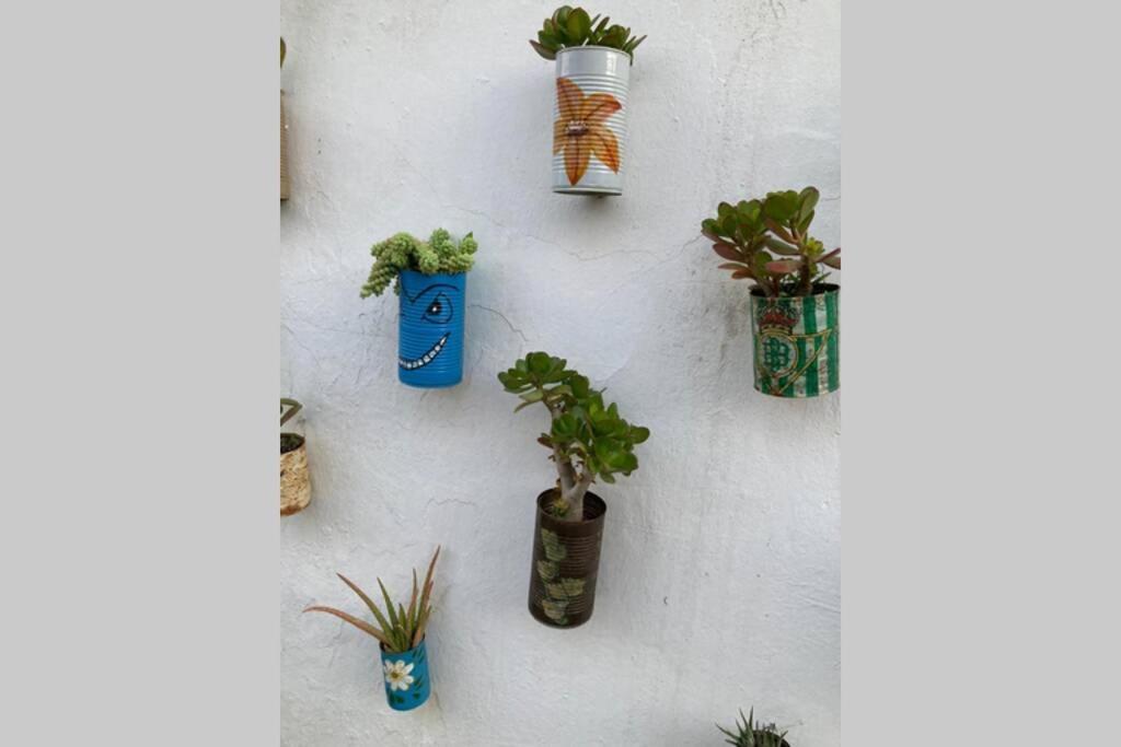 Villanueva de San Juan Casa Tipica De Pueblo Andaluz 빌라 외부 사진