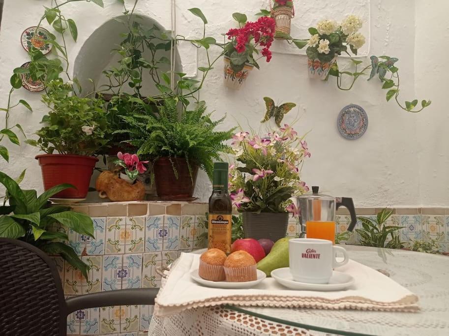 Villanueva de San Juan Casa Tipica De Pueblo Andaluz 빌라 외부 사진